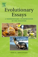 Evolutionary Essays: A Thermodynamic Interpretation Of The Evolution