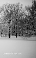 Central Park New York Journal