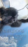 Angel Dogs In Heaven