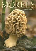 Morels