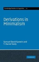 Derivations In Minimalism