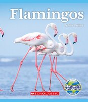 Nature's Children: Flamingos