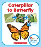 Rookie Read-About Science - Life Cycles: Caterpillar to Butterfly