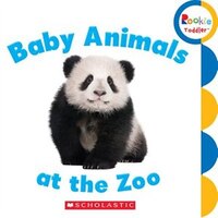 Rookie Toddler: Baby Animals at the Zoo