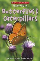Butterflies and Caterpillars
