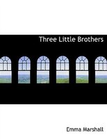 Three Little Brothers (Large Print Edition)