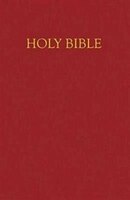 New Revised Standard Version - NRSV - Children's Bible: Imitation Leather - Burgundy