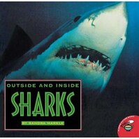 Outside And Inside Sharks