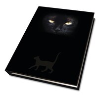 Cat's Eyes Journal