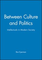 Between Culture and Politics: Intellectuals in Modern Society