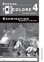 Encore Tricolore Nouvelle: Level 4 Grammar in Action Pack (x8)