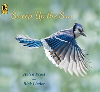 Sweep Up The Sun