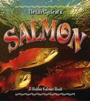 The Life Cycle of a Salmon