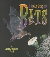 Endangered Bats