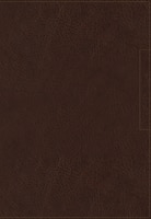 Nkjv, Lucado Encouraging Word Bible, Leathersoft, Brown, Thumb Indexed, Comfort Print: Holy Bible, New King James Version