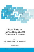 From Finite to Infinite Dimensional Dynamical Systems