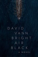 Bright Air Black: A Novel