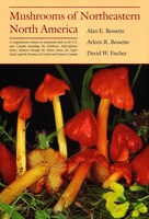 Mushrooms Of Northeastern North America