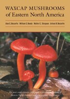 Waxcap Mushrooms Of Eastern North America