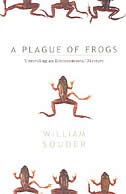 Plague Of Frogs: Unraveling An Environmental Mystery