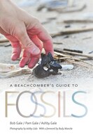 A Beachcomber's Guide To Fossils