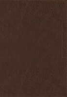 Nvi Santa Biblia, Lucado, Palabra De Aliento, Leathersoft, Café, Interior A Dos Colores