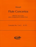 Concerto No. 1 In G, K.313