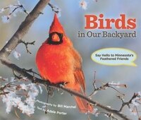 Birds In Our Backyard: Say Hello To Minnesota's Feathered Friends
