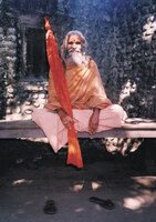 Dandi Swami: The Story of the Guru's Will, Maharishi Mahesh Yogi, the Shankaracharyas of Jyotir Math, & Meetings