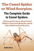 The Camel Spider or Wind Scorpion. the Complete Guide to Camel Spiders. All You Need to Know about Camel Spiders. Facts Including