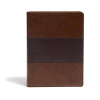 Kjv Study Bible, Full-color, Saddle Brown Leathertouch