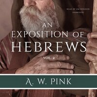An Exposition Of Hebrews, Vol. 2