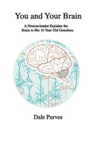 You And Your Brain: A Neuroscientist Explains The Brain To His 10 Year Old Grandson