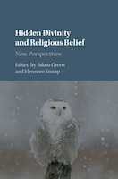 Hidden Divinity And Religious Belief: New Perspectives
