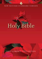 Nrsv Compact Text Bible, Grey Imitation Leather, Nr352:t
