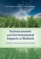 Socioeconomic And Environmental Impacts Of Biofuels: Evidence From Developing Nations