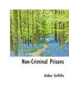 Non-criminal Prisons