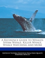 A Reference Guide to Whales: Sperm Whale, Killer Whale, Whale Watching and More