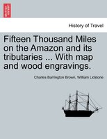 Fifteen Thousand Miles On The Amazon And Its Tributaries ... With Map And Wood Engravings.