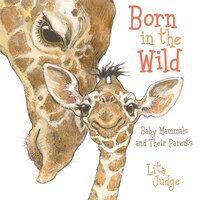 Born In The Wild: Baby Animals And Their Parents