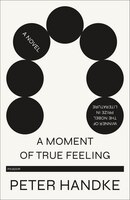 A Moment Of True Feeling: A Novel