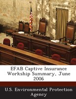 Efab Captive Insurance Workship Summary, June 2006