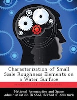 Characterization Of Small Scale Roughness Elements On A Water Surface