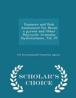 Exposure and Risk Assessment For Benzo a pyrene and Other Polycyclic Aromatic Hydrocarbons, Vol. IV - Scholar's Choice Edition