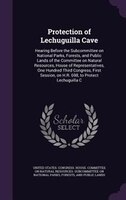 Protection of Lechuguilla Cave: Hearing Before the Subcommittee on National Parks, Forests, and Public Lands of the Committee on N