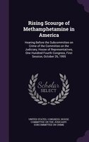 Rising Scourge of Methamphetamine in America: Hearing Before the Subcommittee on Crime of the Committee on the Judiciary, House of
