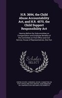 H.R. 3694, the Child Abuse Accountability Act, and H.R. 4570, the Child Support Responsibility Act: Hearing Before the Subcommitte