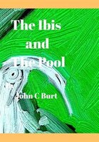 The ibis and The Pool.