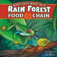 What Eats What in a Rain Forest Food Chain