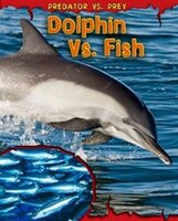 Dolphin vs. Fish